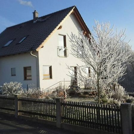 Appartment Am Traetzhof Fulda Bagian luar foto